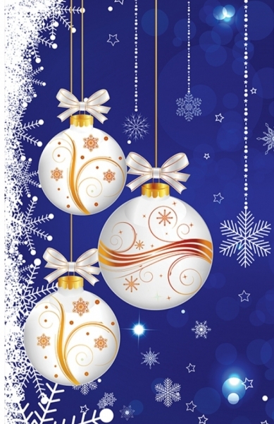 Пакет новый год  средний NGS-16